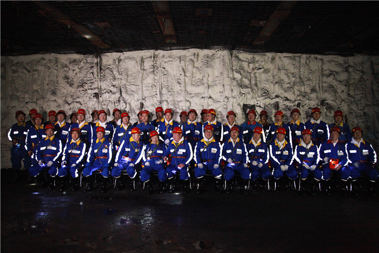 創(chuàng)新聯(lián)盟專家團(tuán)隊(duì)在陜煤（右起左四為何滿潮院士、宋振騏院士、張鐵崗院士、煤炭工業(yè)協(xié)會(huì)副理事長(zhǎng)劉峰